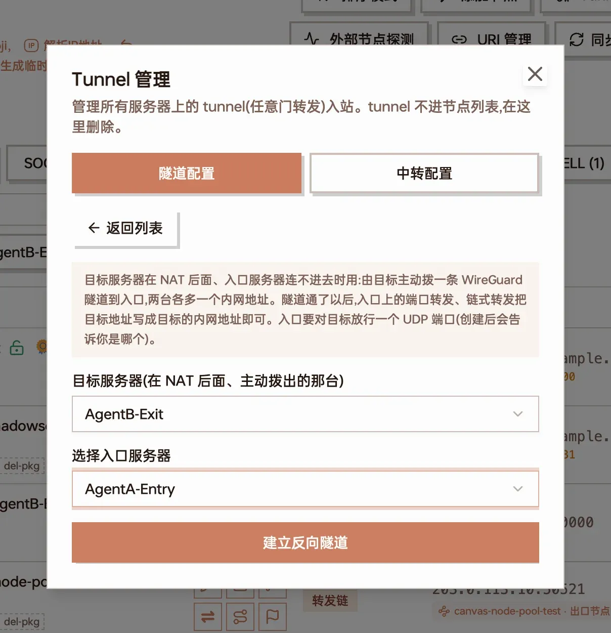 建立反向隧道表单截图