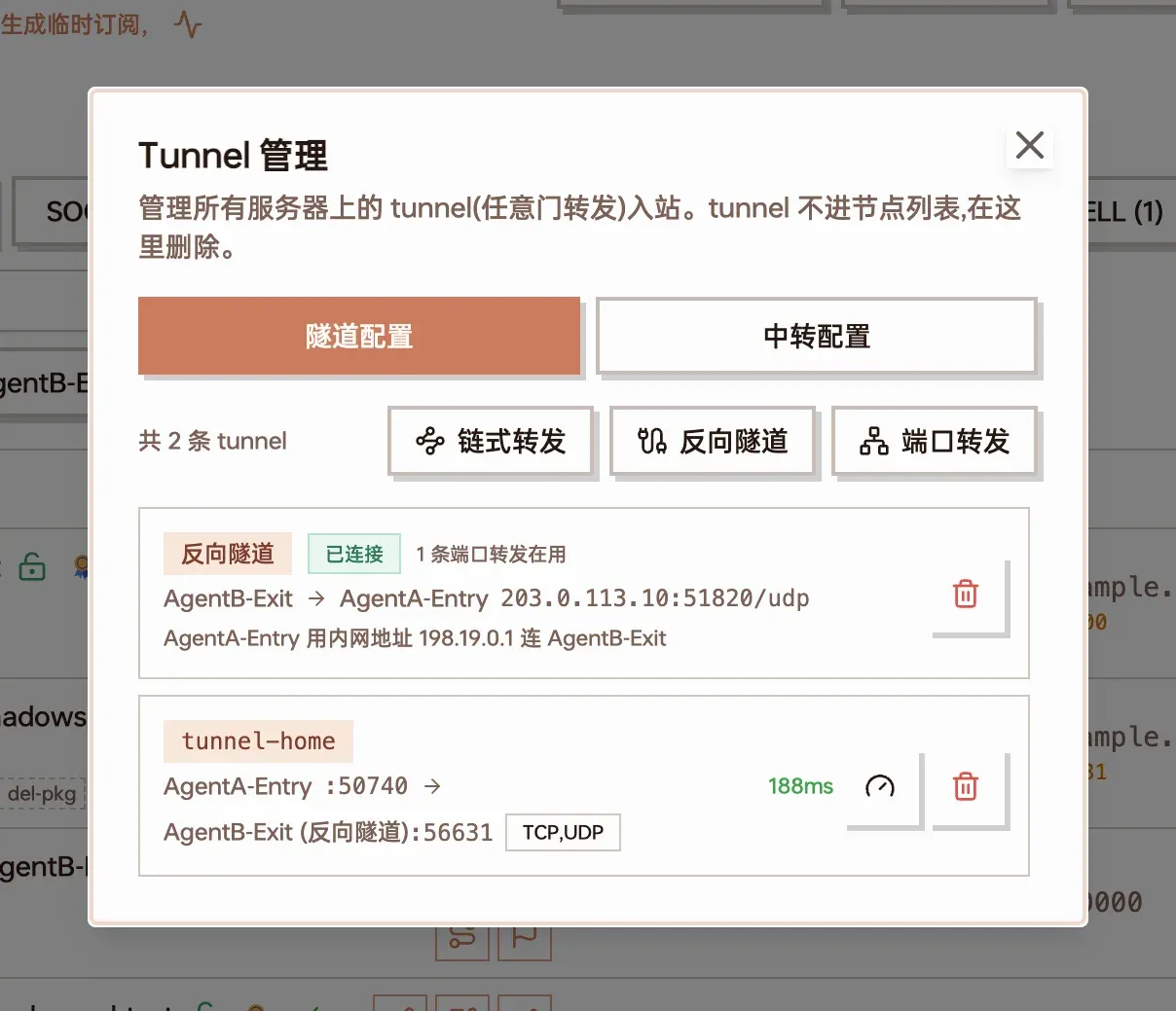 Tunnel 管理列表里的反向隧道截图
